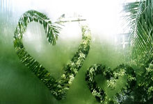 爱德华兹赛点兑现，休斯顿火箭淘汰川崎前锋晋级四强，主帅激动落泪(莱克星顿的枪声是什么梗)